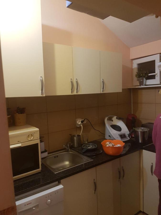 Casa Ernst Hotel Моечу де Жос Екстериор снимка